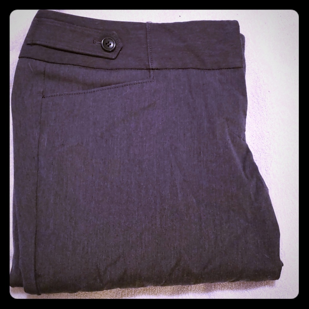 The Limited exact stretch pants
